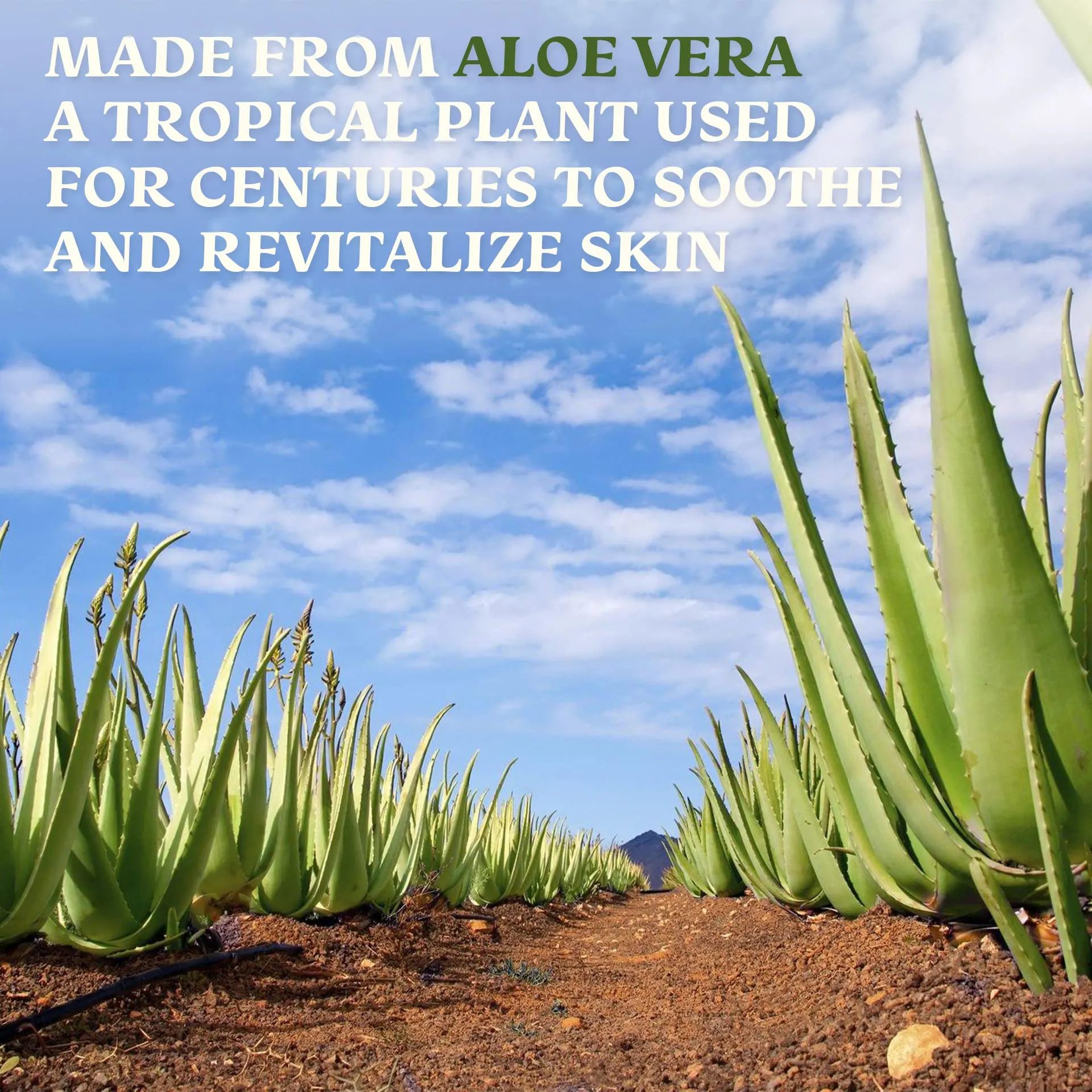 Aloe Vera Gel For Face & Hair Care, Freshly Cut 100% Pure Aloe - Premium Quality, USA Grown, Vegan, Unscented - Natural Sunburn Relief, Skin Care, Face & Hair Care