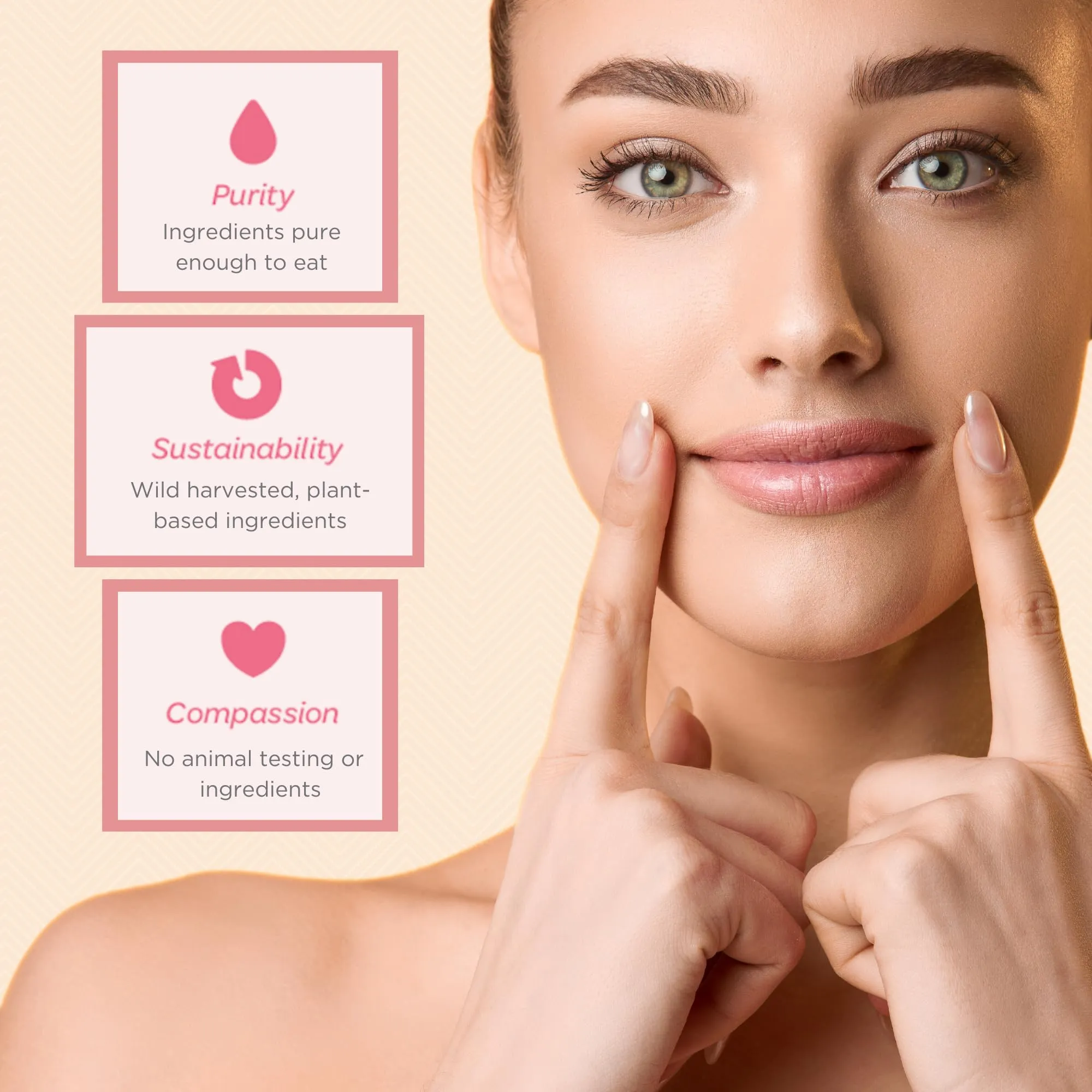 Ellovi Natural Lip Butter Lip Balm - Vanilla - Pure Enough to Eat - Made With Just 6 Vegan Ingredients - 100% Natural & Organic Moisturizing Lip Care for All Day Hydration (3-Pack)