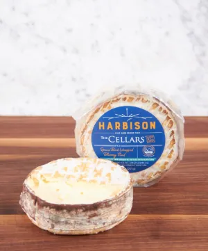 JASPER HILL MINI HARBISON