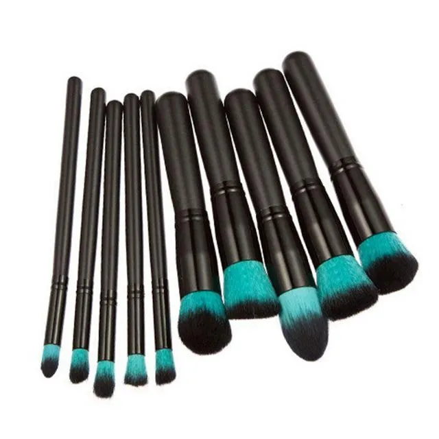 Professional Make Up Set 10 Brushes